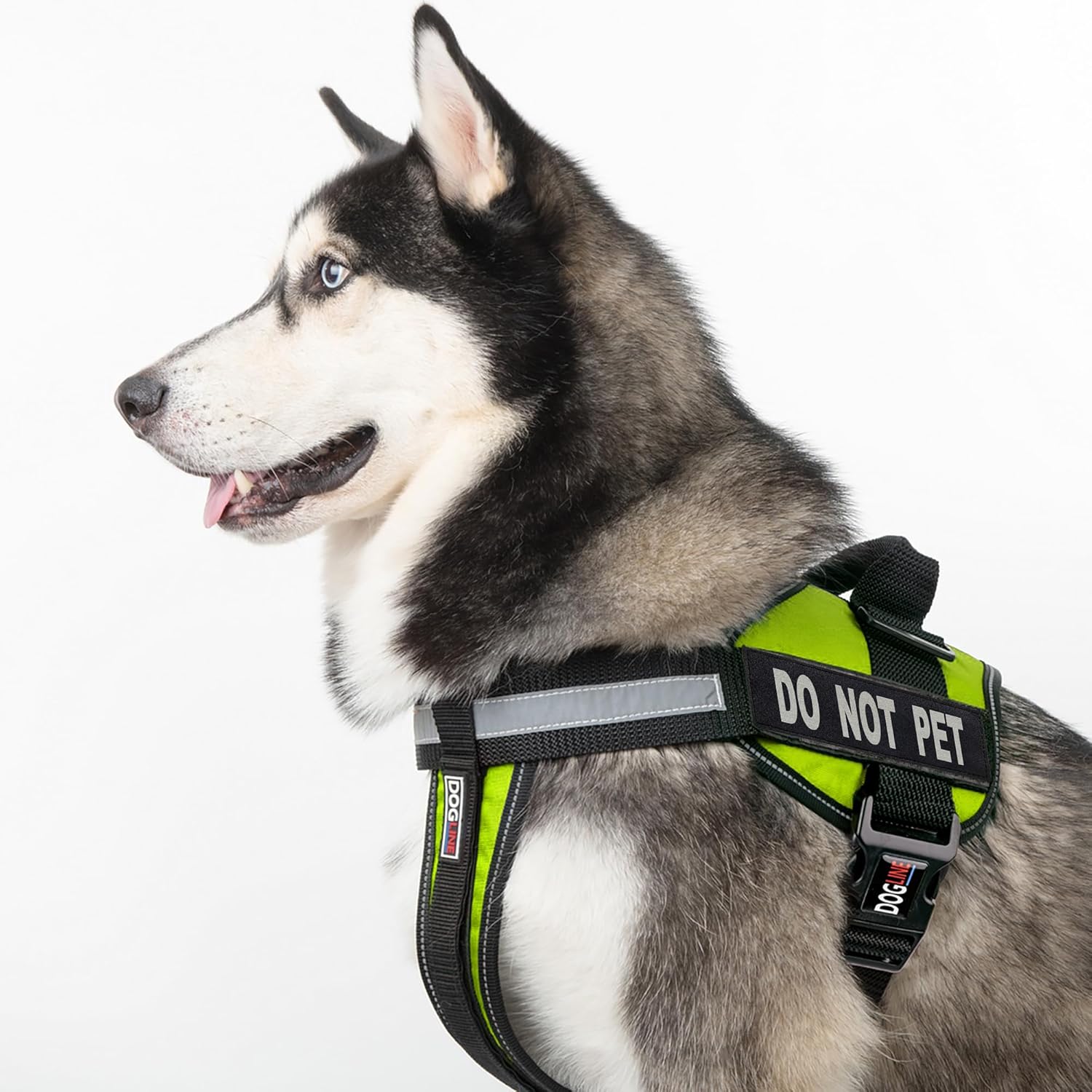 Dogline Dogline X-Large Vest Harness for Dogs with 2 Removable Do Not Pet Patches in Green 36 to 46 Inches - View 5 of 9