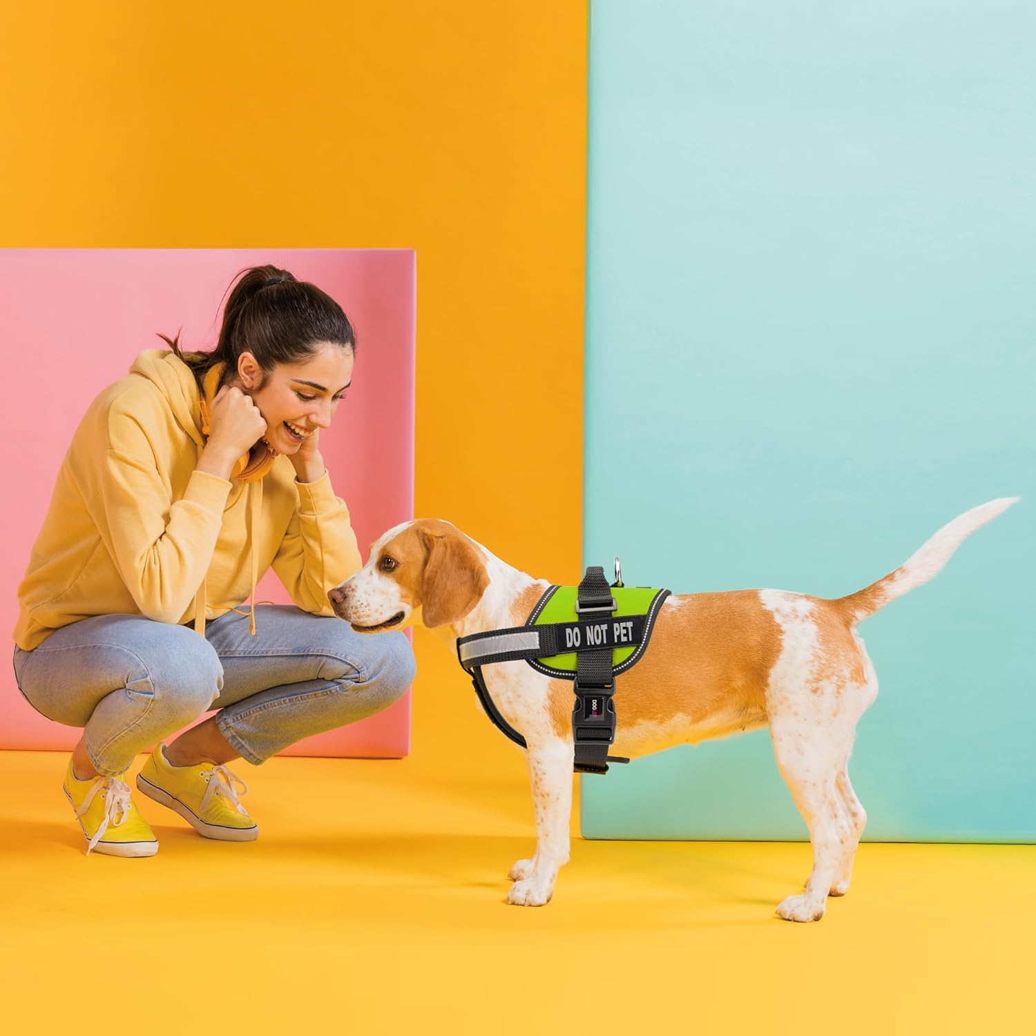 Dogline Dogline X-Large Vest Harness for Dogs with 2 Removable Do Not Pet Patches in Green 36 to 46 Inches - View 6 of 9