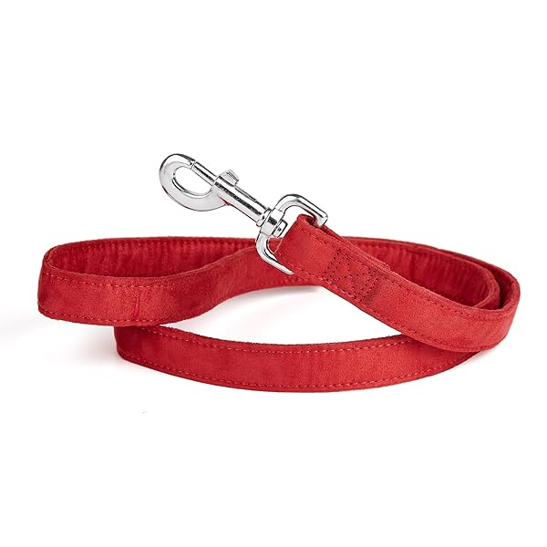 Dogline Dogline Comfort Microfiber Flat Leash for Dogs 1 Inch Wide 6 Feet Long Red