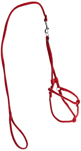 Dogline Dogline Soft Padded Microfiber Dog Leash Medium Red 36 Inches for Comfortable Walking