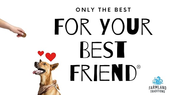 Farmland Traditions Farmland Traditions Chicken Jerky Dog Treats Premium Two Ingredient 3 Pound Bag for Dogs - View 6 of 6