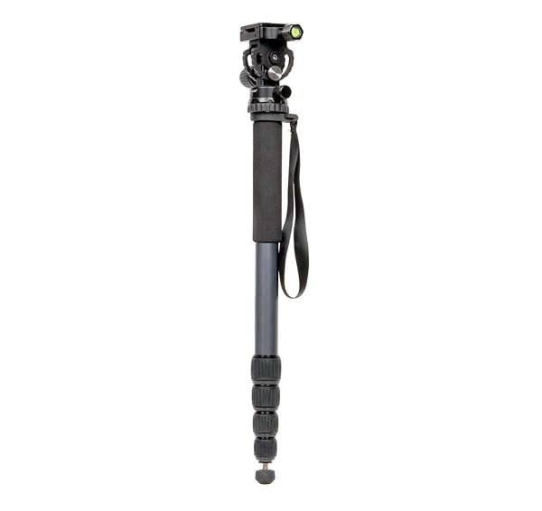 ProMaster MPH528 Monopod with Head: Ultimate Stability for Photographers