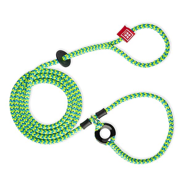 Harness Lead No Pull Dog Harness and Leash Set Cushioned Rope Anti Escape Design Small Medium Peacock Blue Lime