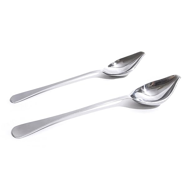 Orange Zest Professional 2-Piece Culinary Saucier Plating Kit: Precision Sauce Decorating Spoons with Stainless Tapered Spouts