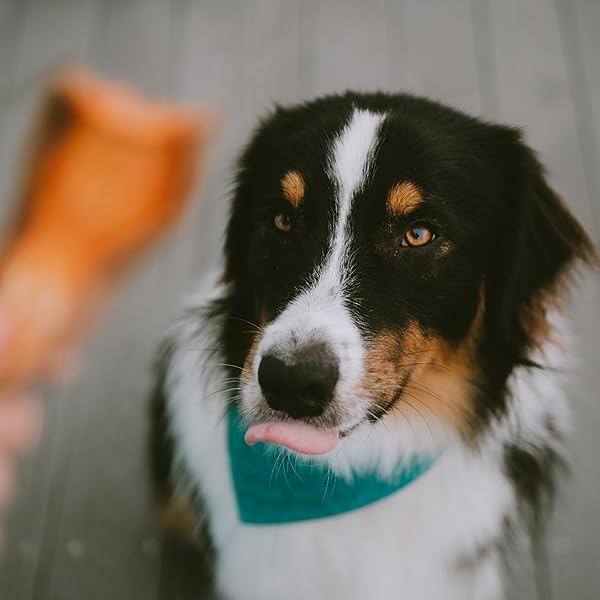 Wholesome Pride Wholesome Pride Sweet Potato Chews All Natural Dog Treats 16 oz Healthy Single Ingredient Snack for Dogs - View 9 of 9