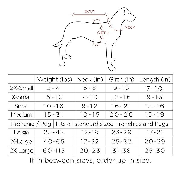 Baja Ponchos Handmade Blue Dog Poncho from Authentic Mexican Blanket for XXS Dogs - View 3 of 7