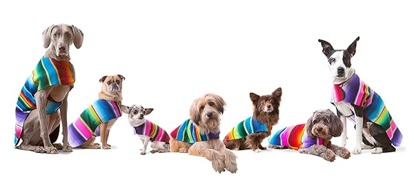 Baja Ponchos Handmade Blue Dog Poncho from Authentic Mexican Blanket for XXS Dogs - View 5 of 7