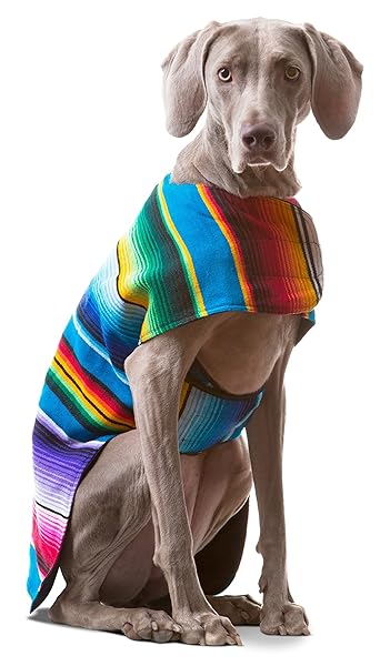 Baja Ponchos Handmade Blue Dog Poncho from Authentic Mexican Blanket for XXS Dogs - View 7 of 7