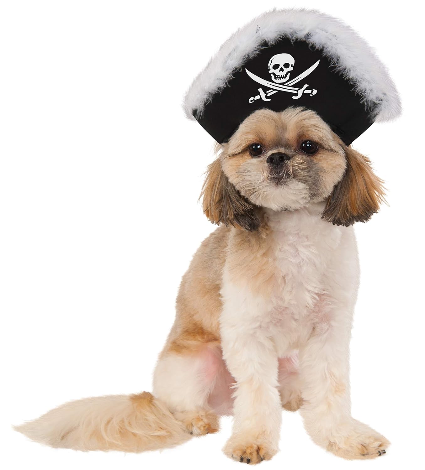 Rubies Rubies Pirate Hat for Pets Small Medium Perfect Costume Accessory for Dogs and Cats
