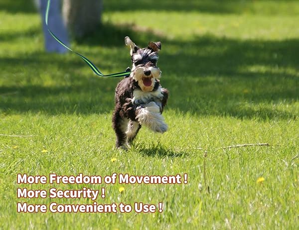 YOOGAO Pet YOOGAO Long Dog Training Leash Non-Slip Padded Handle 10 to 50 ft for All Dog Sizes - View 6 of 6