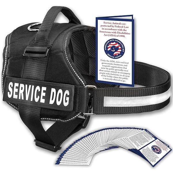 Industrial Puppy Service Dog Vest Harness with Handle and Reflective Patch Available in 8 Sizes Comfortable Mesh Design for Small Dogs Black