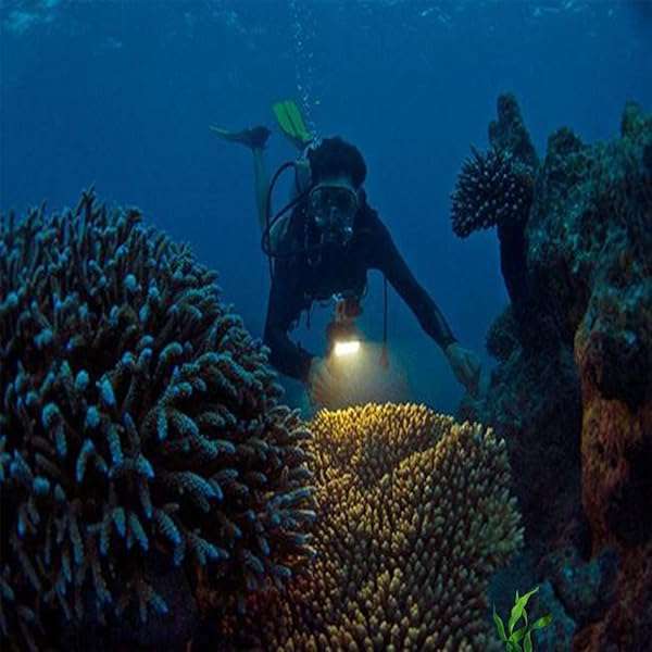 Suptig Suptig Waterproof LED Video Light for GoPro & DJI: Dimmable Night Fill Light for Underwater Adventures - View 8 of 10