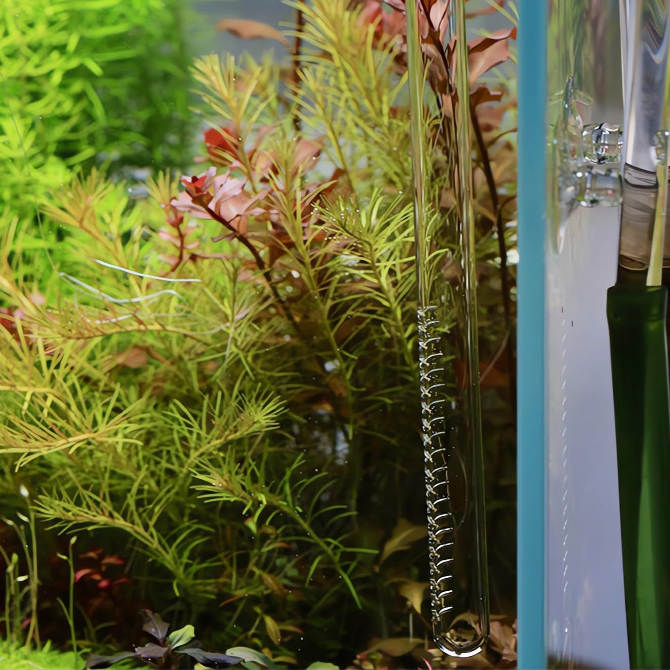 JARDLI JARDLI 13mm Plant Aquarium Glass Lily Pipe Inflow and Outflow for 12/16mm Tubing - View 5 of 7