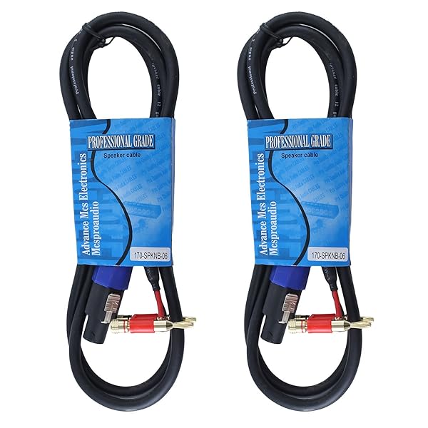 MCSPROAUDIO MCSPROAUDIO 12 Gauge Speaker Cables 2 Pack 10 Foot Length High Quality Audio Performance