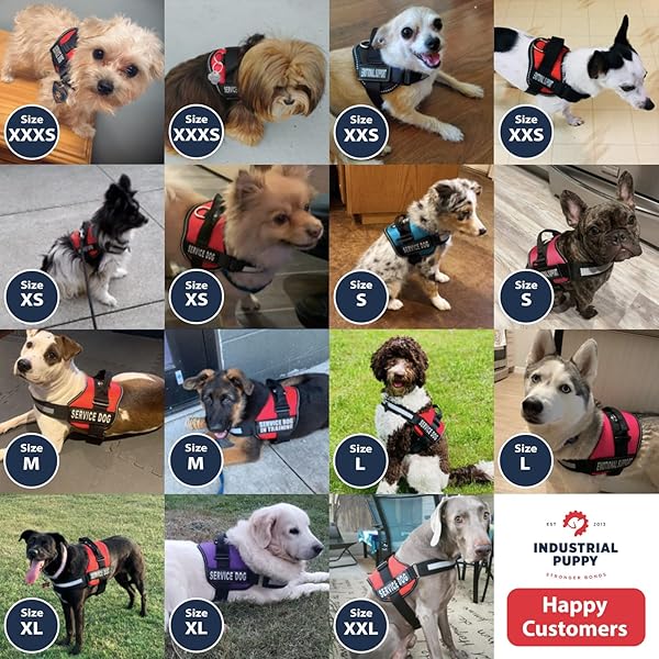 Industrial Puppy Industrial Puppy Service Dog Vest Adjustable No Pull Harness for Large Dogs with Reflective Straps Removable Patches Training Vest - View 6 of 8
