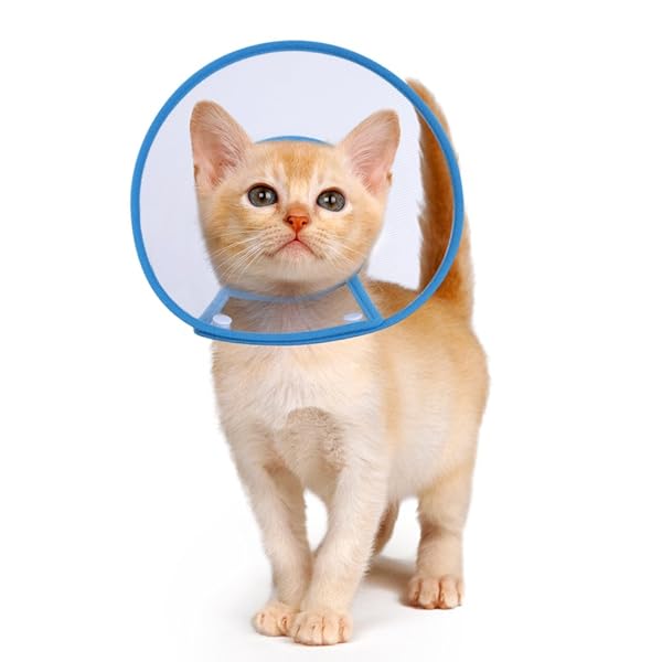 PETBABA PETBABA Cat Cone Collar Soft E Collar for Kittens and Puppies Recovery After Surgery Clear Design Not Blocking Vision Size S Blue