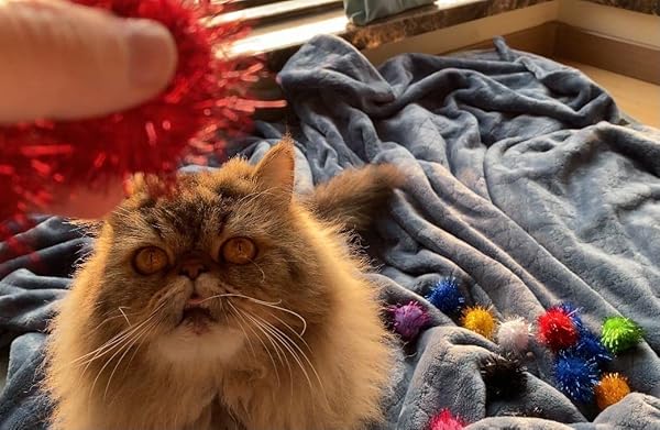 RIMOBUL RIMOBUL 100PCS 1.5 INCH Extra Large Sparkly Cat Toy Balls Glitter Chase Pom Pom Balls for Cats - View 6 of 6