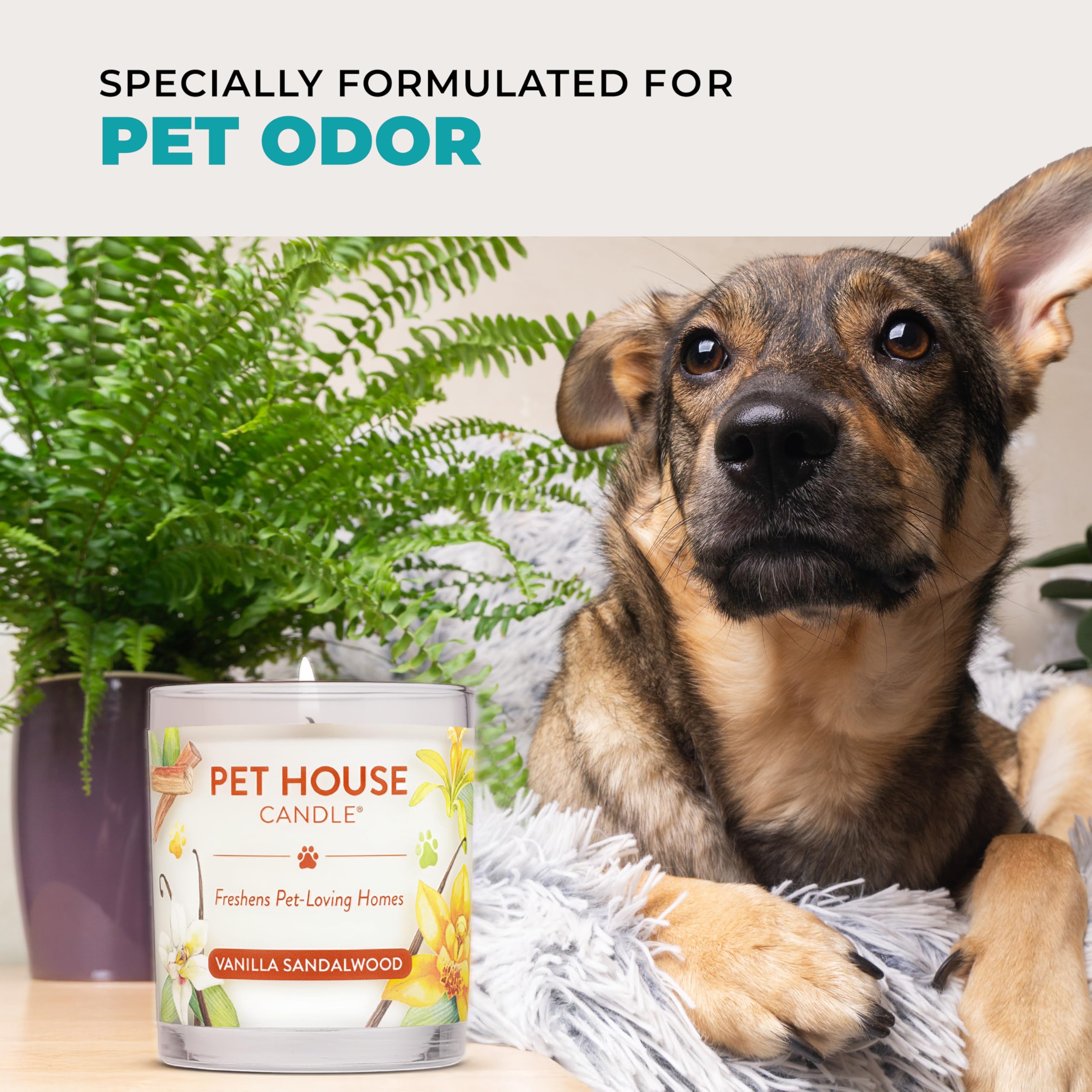 Pet House Candle Mediterranean Sea Natural Soy Wax Long Lasting Pet Odor Eliminating Candle Available in 15 Fragrances - View 5 of 8