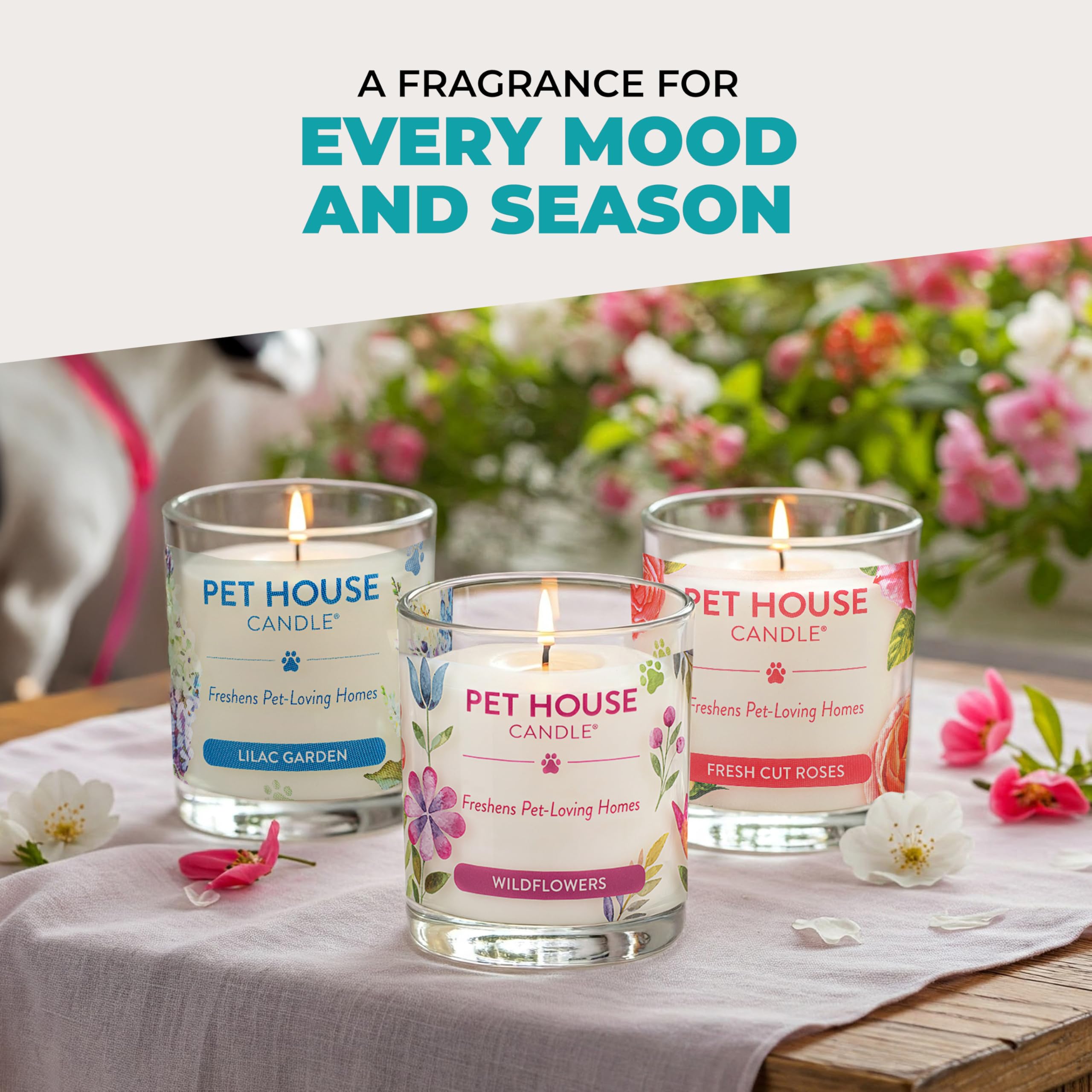 Pet House Candle Mediterranean Sea Natural Soy Wax Long Lasting Pet Odor Eliminating Candle Available in 15 Fragrances - View 8 of 8