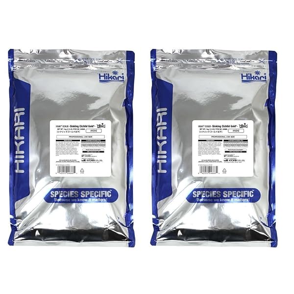Hikari Hikari Sinking Cichlid Gold Pellets 2 Pack Mini 2.2 Pound Bags Total 4.4 Pounds for Pets