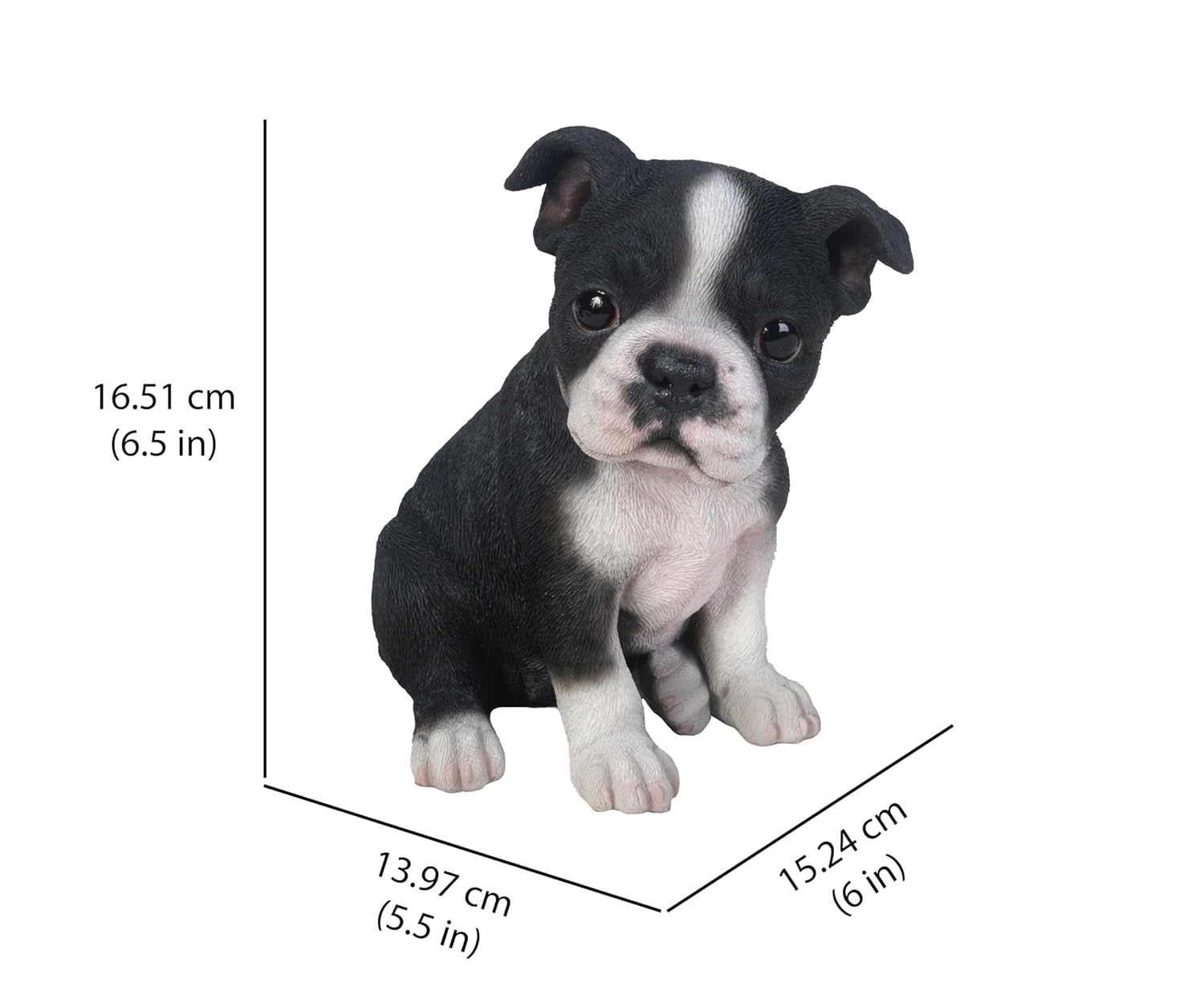 Hi-Line Hi-Line Gift Ltd Sitting Boston Terrier Puppy Statue for Home Decor and Pet Lovers - View 3 of 6