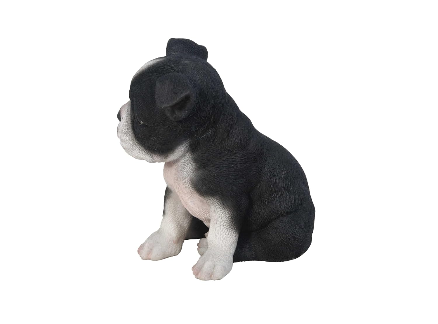 Hi-Line Hi-Line Gift Ltd Sitting Boston Terrier Puppy Statue for Home Decor and Pet Lovers - View 4 of 6