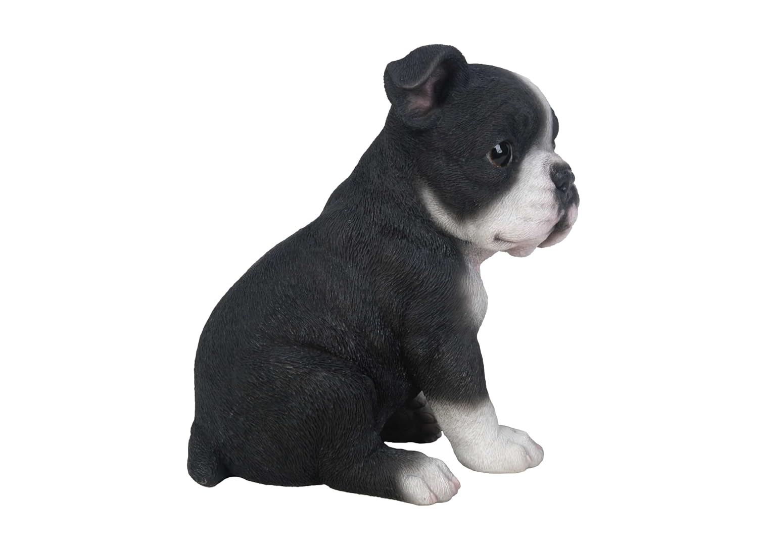 Hi-Line Hi-Line Gift Ltd Sitting Boston Terrier Puppy Statue for Home Decor and Pet Lovers - View 6 of 6