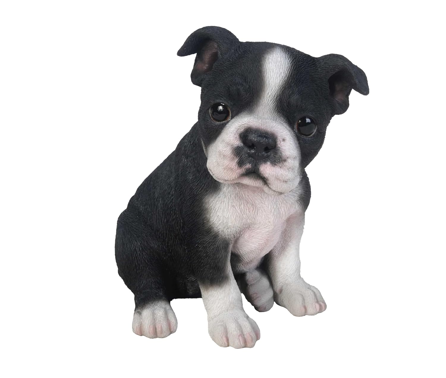 Hi-Line Hi-Line Gift Ltd Sitting Boston Terrier Puppy Statue for Home Decor and Pet Lovers