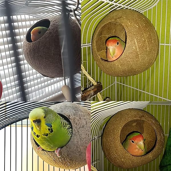 OMEM OMEM Bird Coconut House and Hamster House with Bamboo Fixing for Birdcages and Hamster Cages Large Size - View 7 of 8