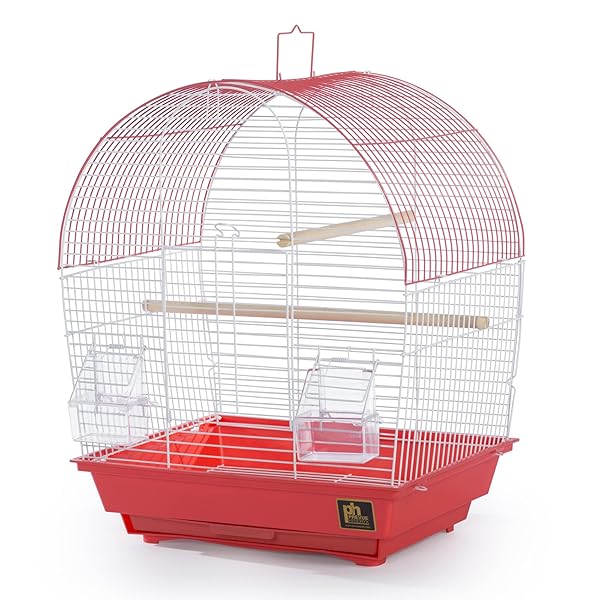 PH Prevue Hendryx Prevue Pet Products South Beach Dome Top Bird Cage Coral Stylish and Spacious Home for Your Feathered Friends - View 3 of 9
