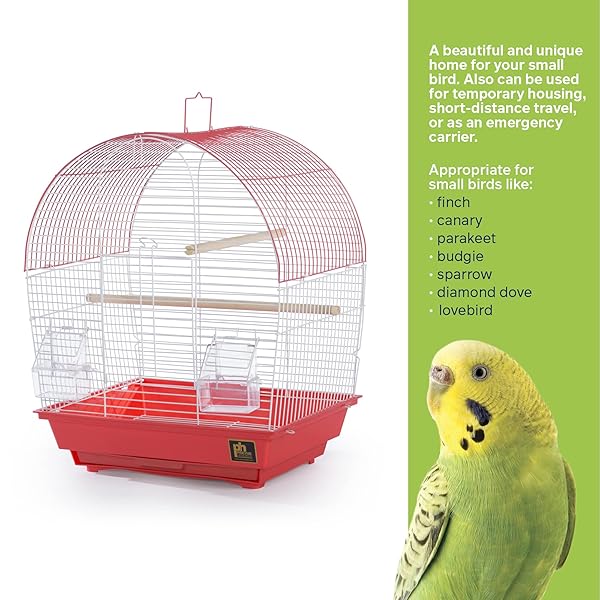 PH Prevue Hendryx Prevue Pet Products South Beach Dome Top Bird Cage Coral Stylish and Spacious Home for Your Feathered Friends - View 4 of 9