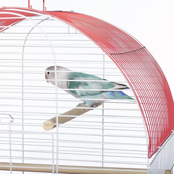 PH Prevue Hendryx Prevue Pet Products South Beach Dome Top Bird Cage Coral Stylish and Spacious Home for Your Feathered Friends - View 8 of 9