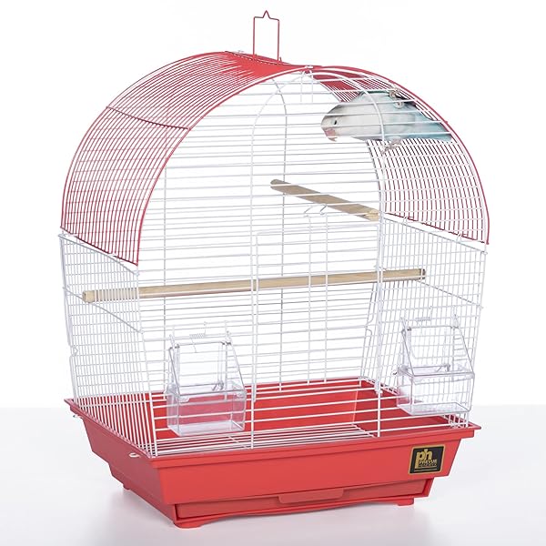 PH Prevue Hendryx Prevue Pet Products South Beach Dome Top Bird Cage Coral Stylish and Spacious Home for Your Feathered Friends - View 9 of 9