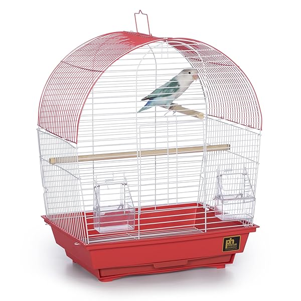 PH Prevue Hendryx Prevue Pet Products South Beach Dome Top Bird Cage Coral Stylish and Spacious Home for Your Feathered Friends