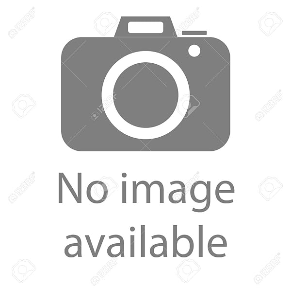 Rockville Rockville SX1225 12 Channel XLR Snake Cable - 25ft, 100% OFC, Double Shielded for Superior Sound Quality - View 10 of 10