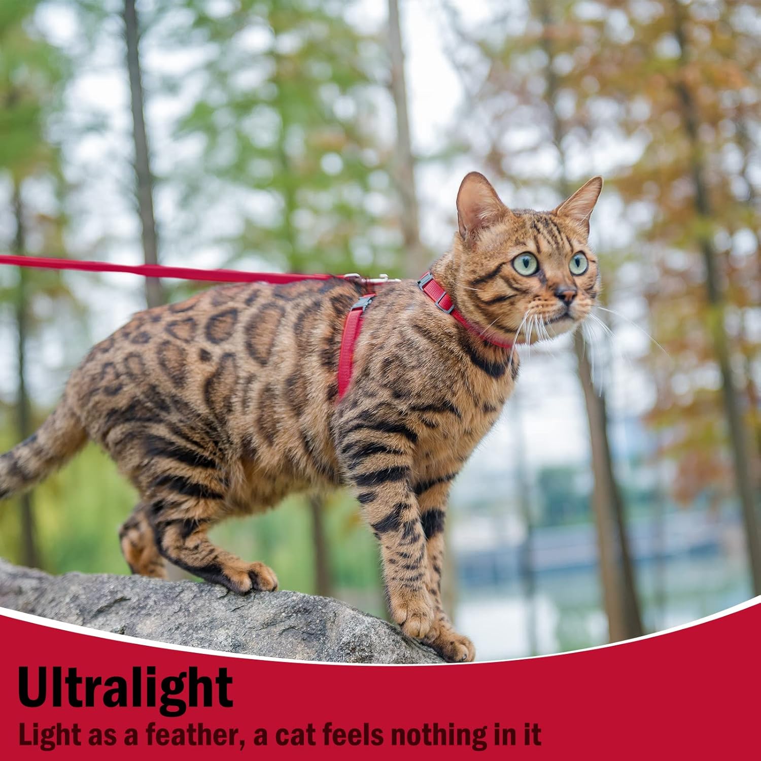 PUPTECK PUPTECK Adjustable Cat Harness and Leash Set Escape Proof for Walking and Travel Red - View 4 of 7