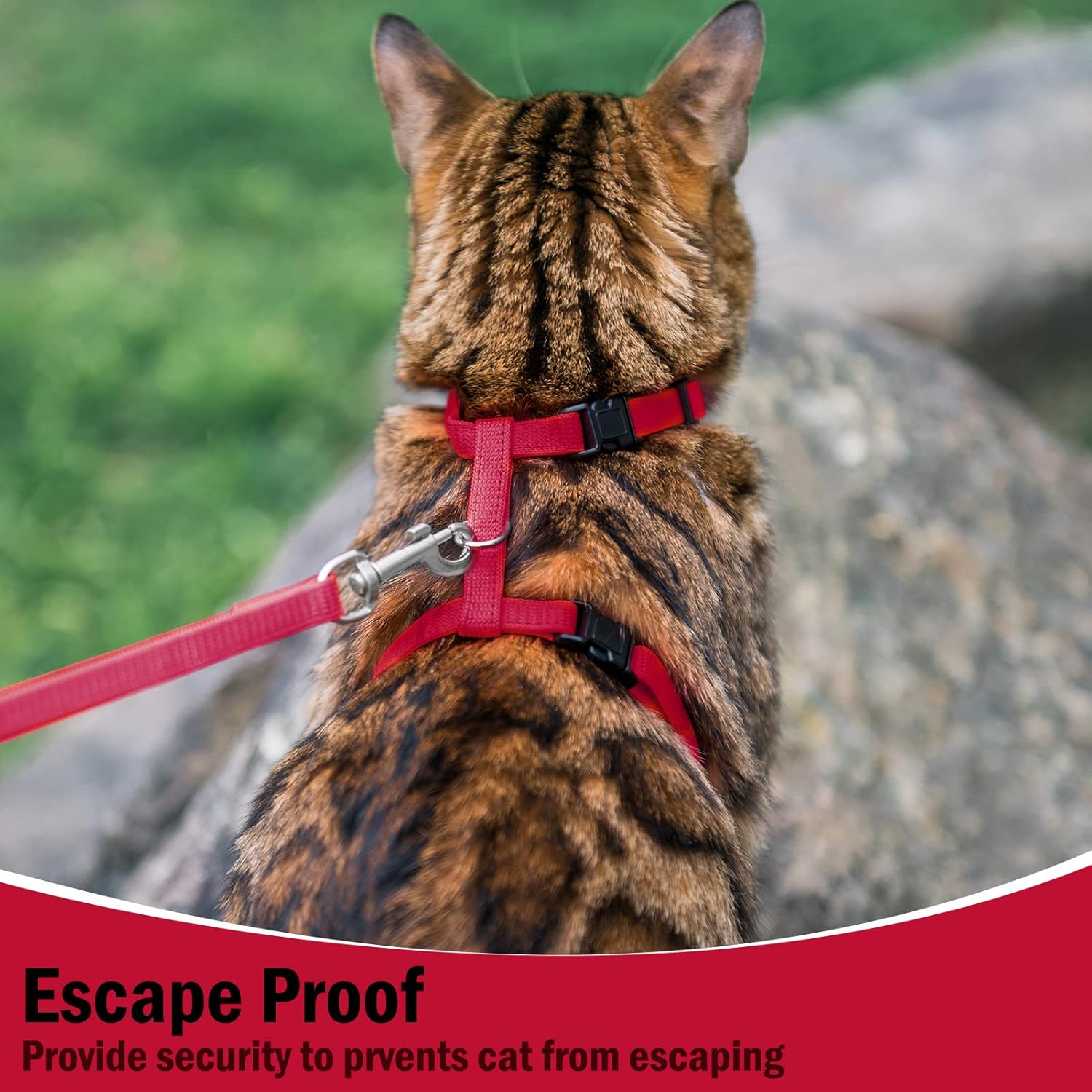 PUPTECK PUPTECK Adjustable Cat Harness and Leash Set Escape Proof for Walking and Travel Red - View 6 of 7