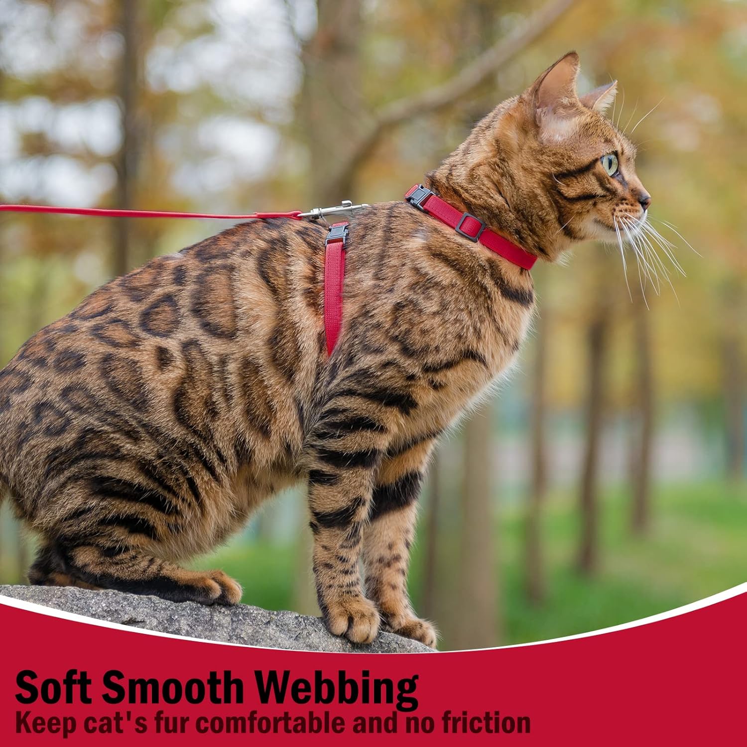 PUPTECK PUPTECK Adjustable Cat Harness and Leash Set Escape Proof for Walking and Travel Red - View 7 of 7