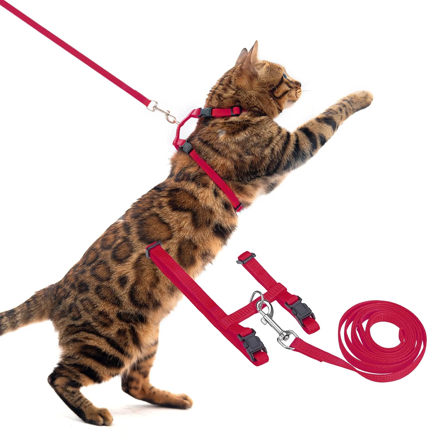 PUPTECK PUPTECK Adjustable Cat Harness and Leash Set Escape Proof for Walking and Travel Red