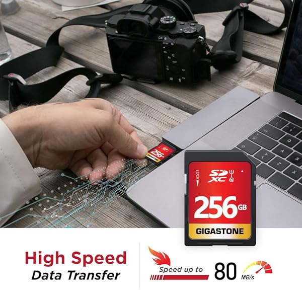 Gigastone Buy Gigastone 256GB SD Card UHS-I U1 Class 10 for Canon, Nikon, Sony - High Speed Full HD Video + Mini Case Included - View 3 of 8