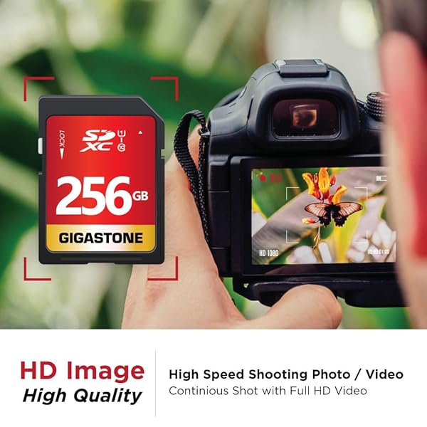 Gigastone Buy Gigastone 256GB SD Card UHS-I U1 Class 10 for Canon, Nikon, Sony - High Speed Full HD Video + Mini Case Included - View 4 of 8