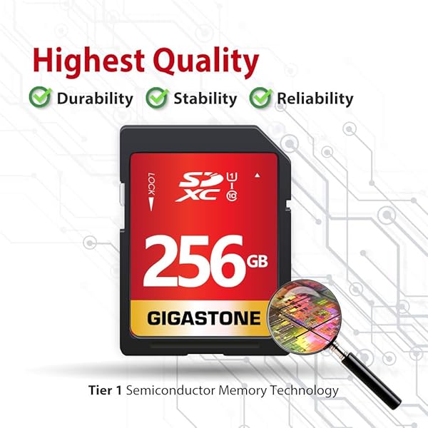 Gigastone Buy Gigastone 256GB SD Card UHS-I U1 Class 10 for Canon, Nikon, Sony - High Speed Full HD Video + Mini Case Included - View 7 of 8
