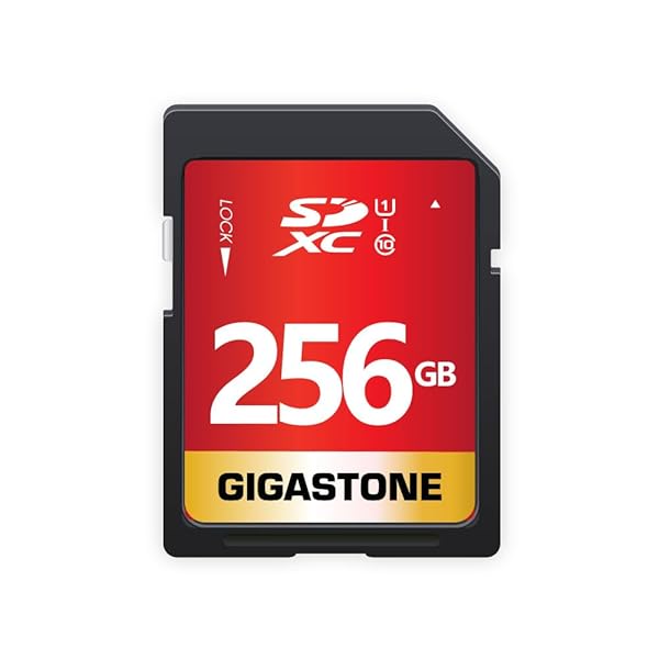 Gigastone Buy Gigastone 256GB SD Card UHS-I U1 Class 10 for Canon, Nikon, Sony - High Speed Full HD Video + Mini Case Included