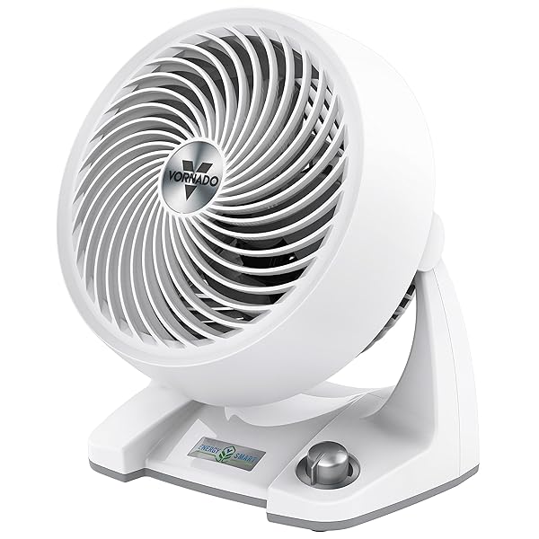 Vornado Vornado 533DC Energy Smart Small Fan: Variable Speed Air Circulator in White for Efficient Cooling
