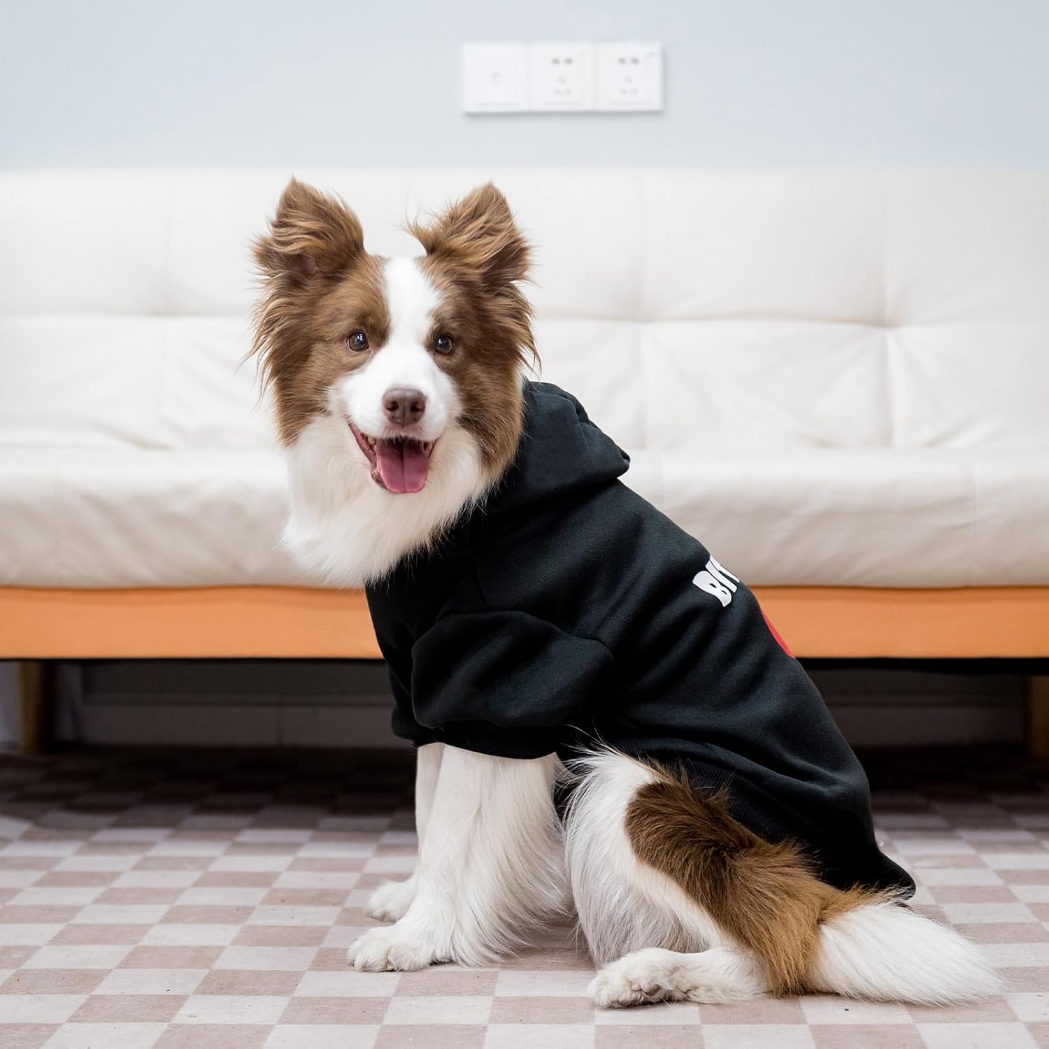 EXPAWLORER EXPAWLORER Dog Hoodies Soft Warm Sweatshirt with Leash Hole for Fall Winter Fleece Pet Clothes for Small Medium Large Dogs - View 7 of 7