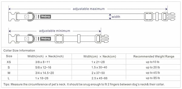 Blueberry Pet Blueberry Pet Floral Rose Print Turquoise Dog Collar Small Adjustable for Puppies Neck 12 to 16 Inches Spring Scent Patterns - View 6 of 8