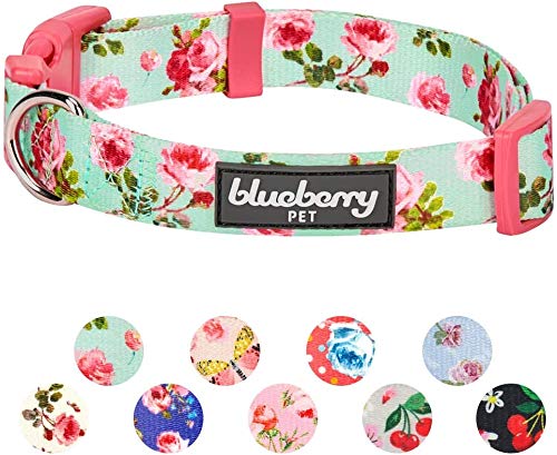 Blueberry Pet Blueberry Pet Floral Rose Print Turquoise Dog Collar Small Adjustable for Puppies Neck 12 to 16 Inches Spring Scent Patterns - View 7 of 8