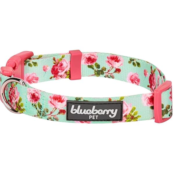 Blueberry Pet Blueberry Pet Floral Rose Print Turquoise Dog Collar Small Adjustable for Puppies Neck 12 to 16 Inches Spring Scent Patterns - View 2 of 8