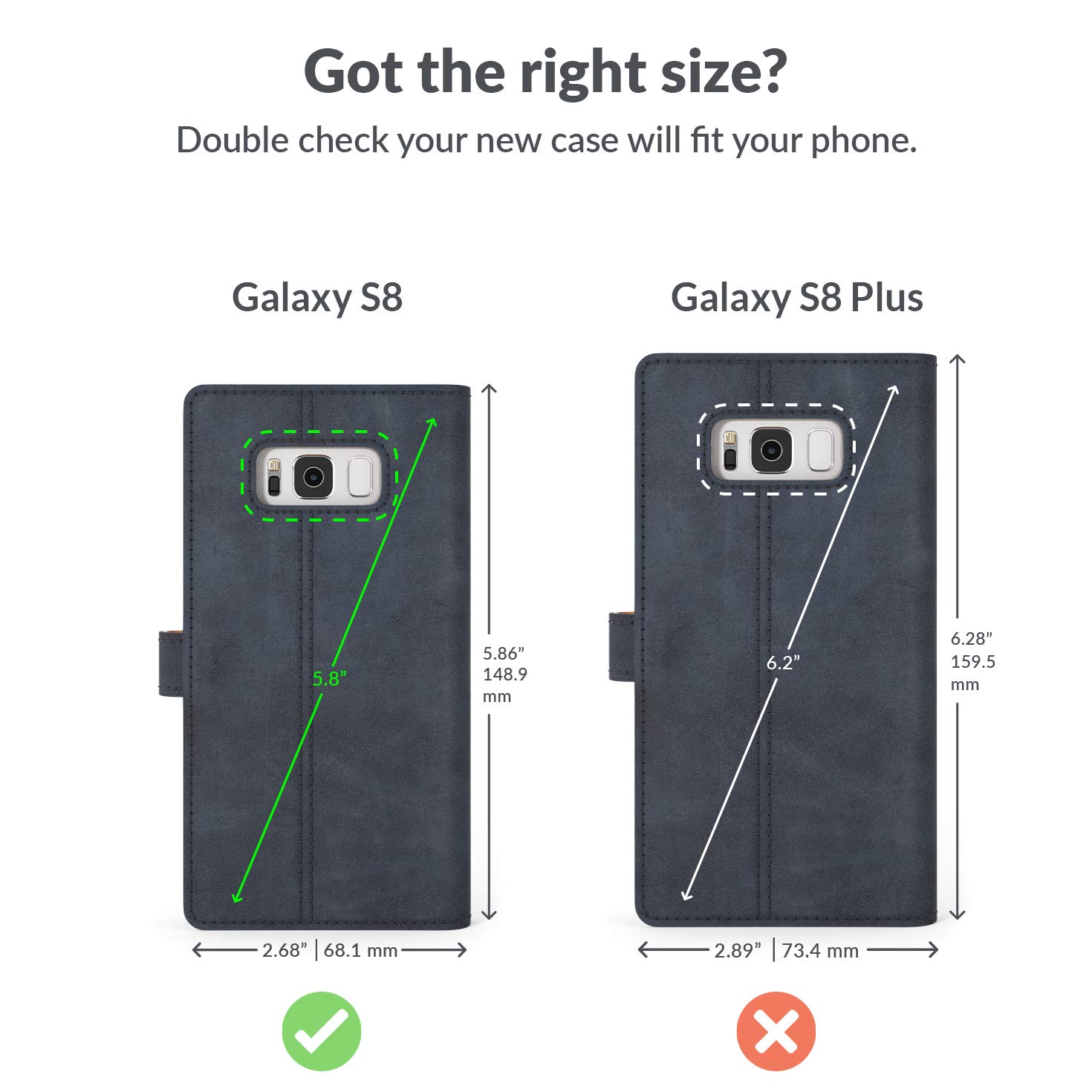 Snakehive - View 6 of 6