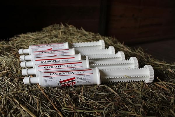 MVP MVP Gastro-Plex Paste 5-Pack Gastric Stress Relief for Horses 10 Doses Fast Acting Solution - View 4 of 7